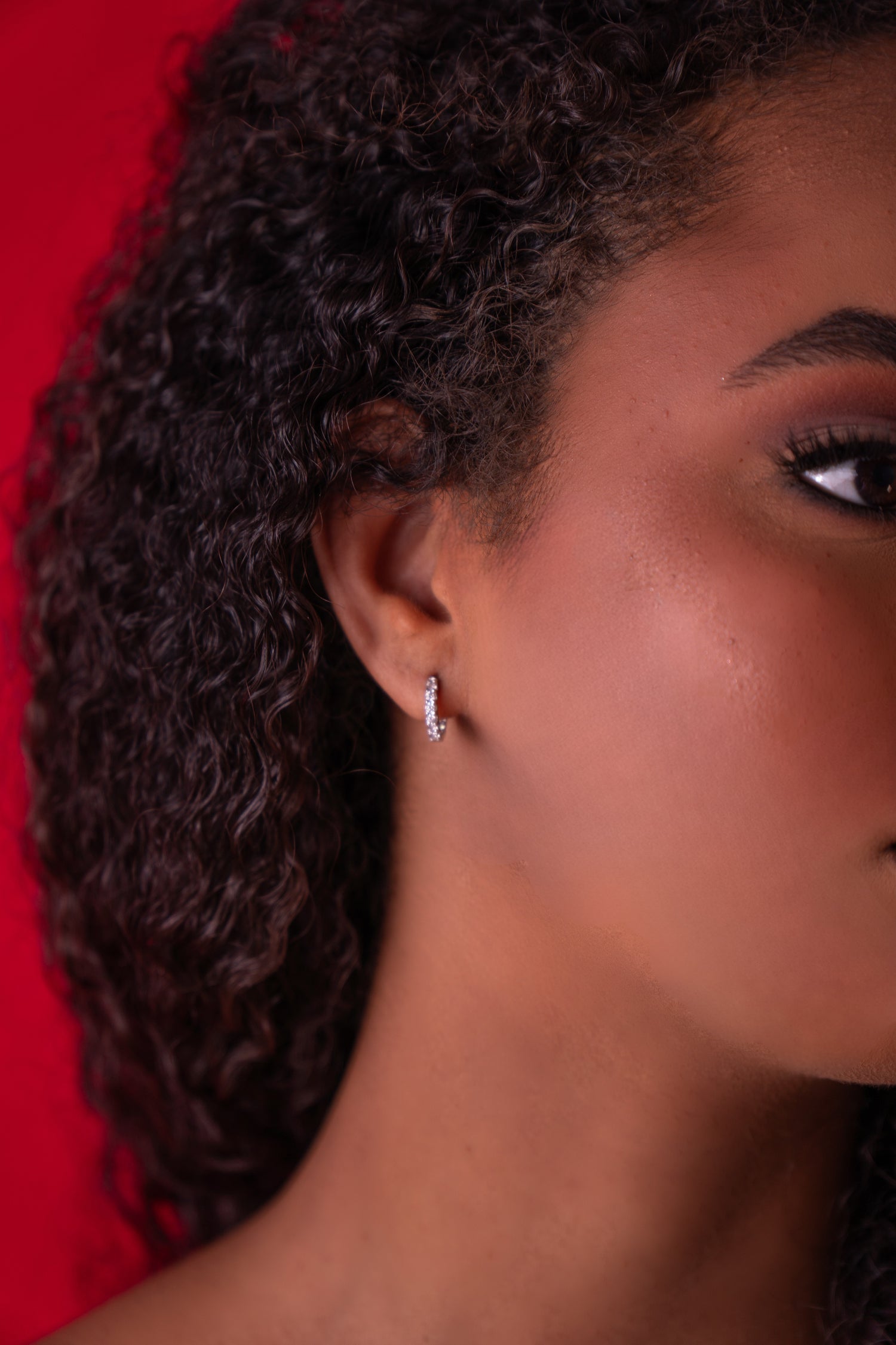 Brincos Hoop Petite em Prata 925 com Moissanite